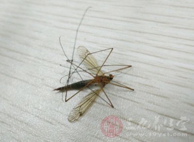 Pb832lkT4HKAJT4MAABgLfpo6gA735.jpg