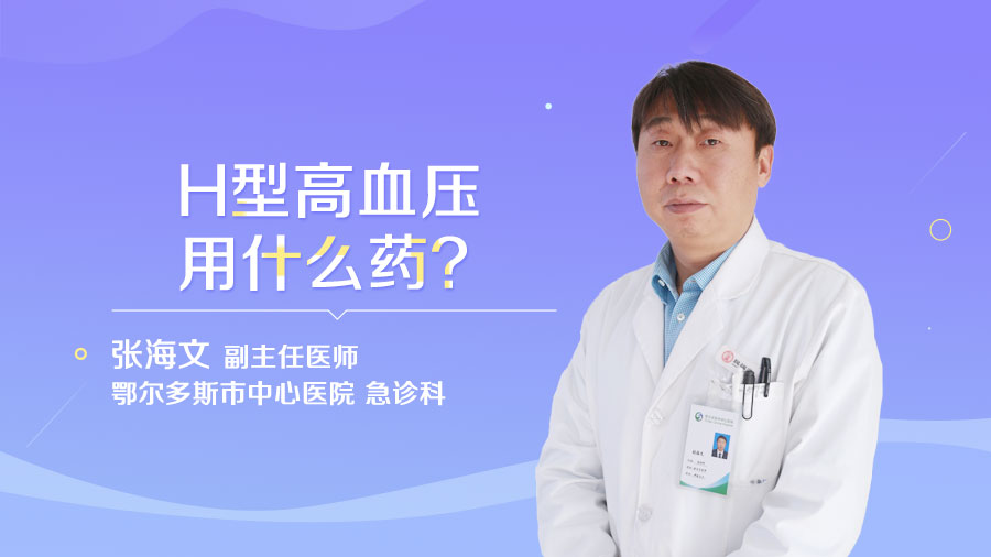 H型高血压用什么药