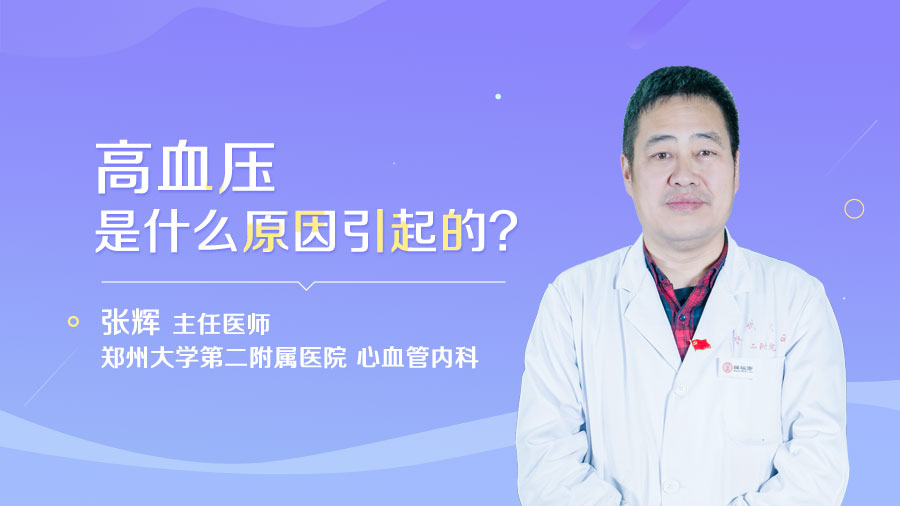 高血压是什么原因引起的