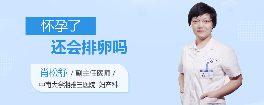 怀孕了还会排卵吗