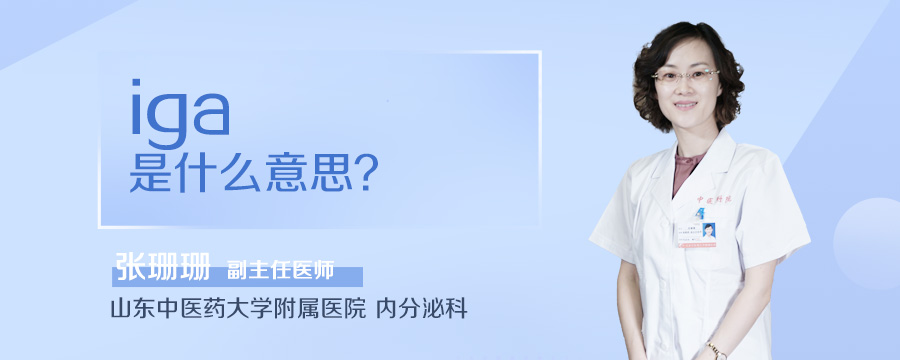 iga是什么意思