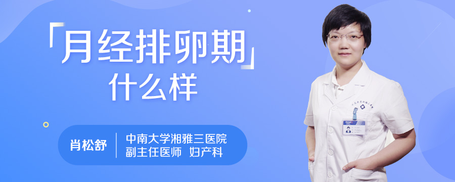 月经排卵期规律什么样
