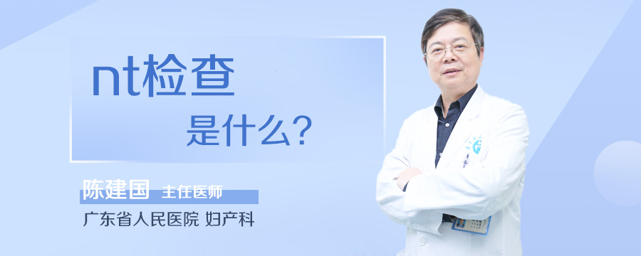 nt检查是什么