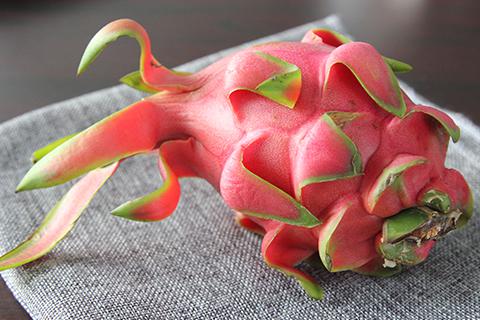 月经期间能吃火龙果吗