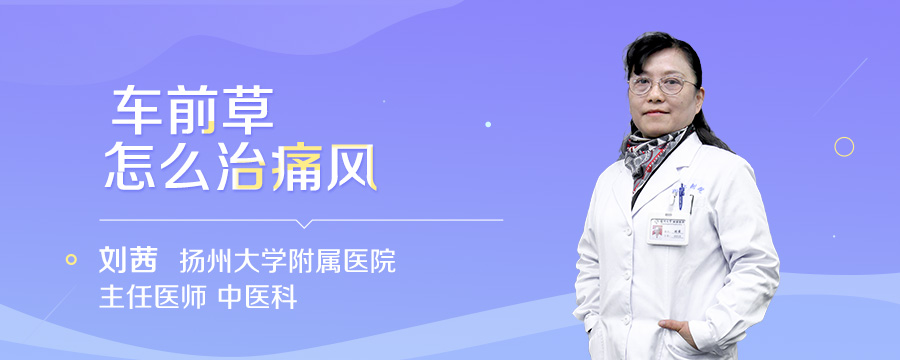 车前草怎么治痛风