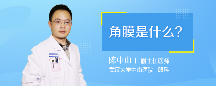 角膜是什么