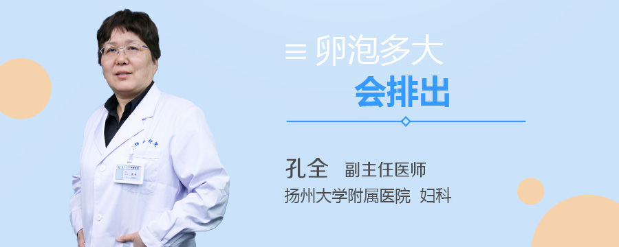 卵泡多大会排出