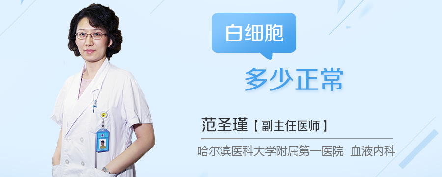 白细胞多少正常