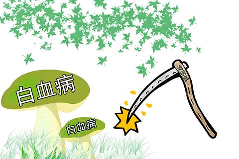 治疗白血病的开销有多大