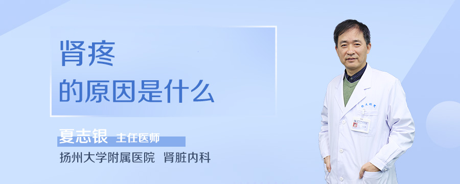 肾疼的原因是什么