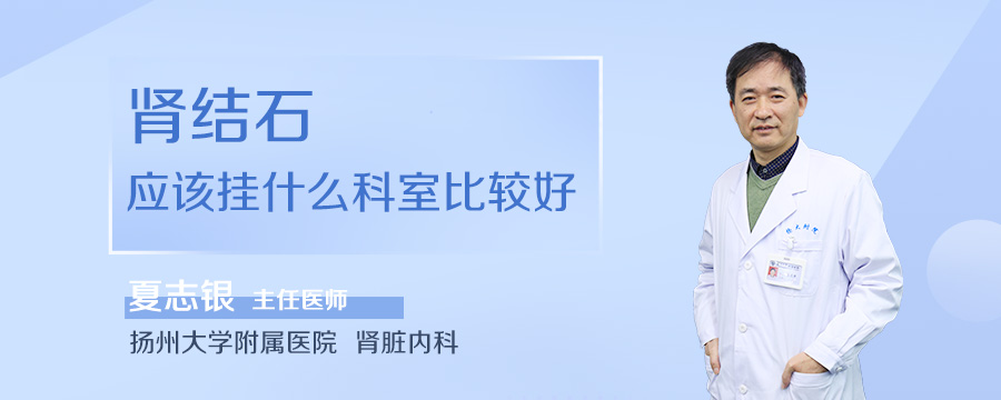 肾结石应该挂什么科室比较好