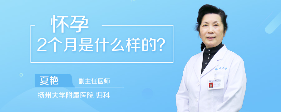 怀孕2个月是什么样的