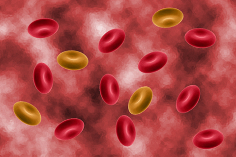 有的人身体感染了病毒，也会引发白细胞数量减少