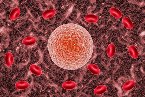 rpr滴度是什么意思