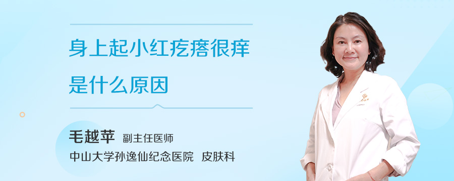 身上起小红疙瘩很痒是什么原因