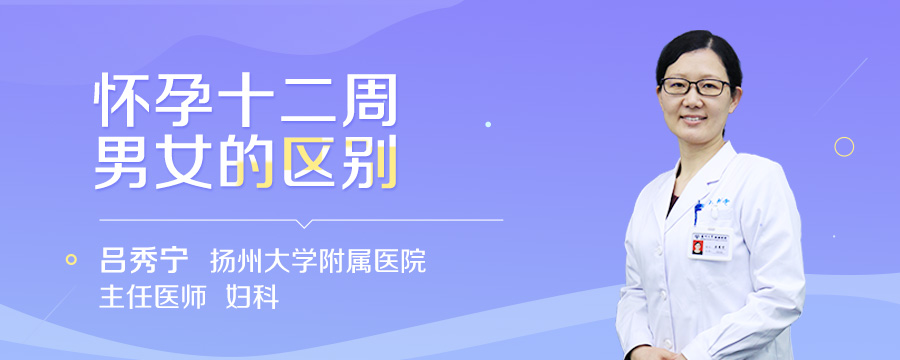 怀孕十二周男女的区别