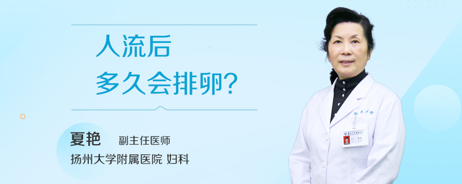 人流后多久会排卵