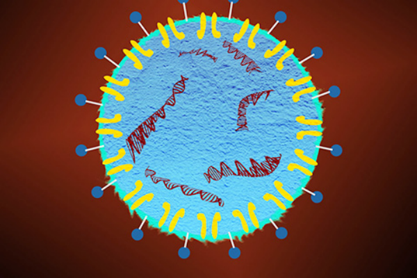 衣原体感染症状