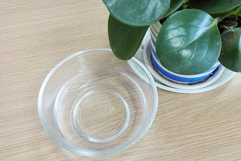 白醋可以治疗湿疹吗