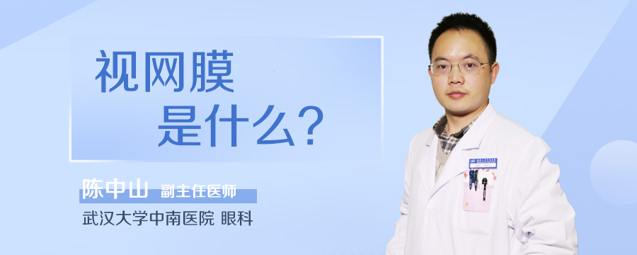 视网膜是什么