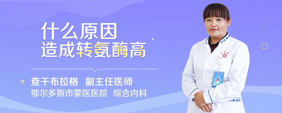 什么原因造成转氨酶高