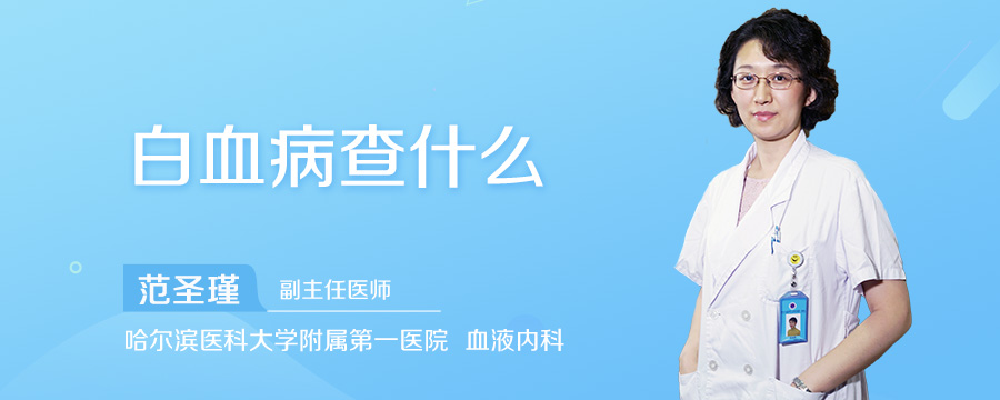 白血病查什么