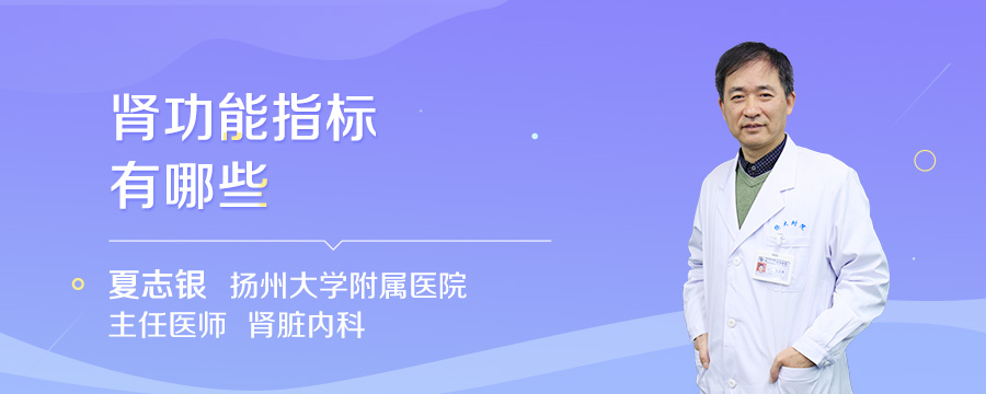 肾功能指标有哪些