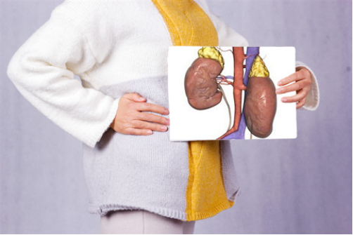 现有的肾结石的治疗方法主要有两种，一种就是药物治疗，一种就是手术治疗