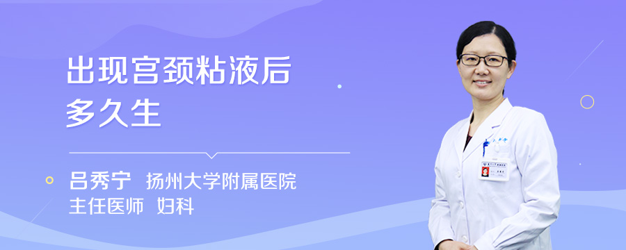 出现宫颈粘液后多久生