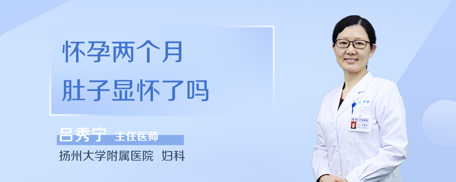 怀孕两个月肚子显怀了吗