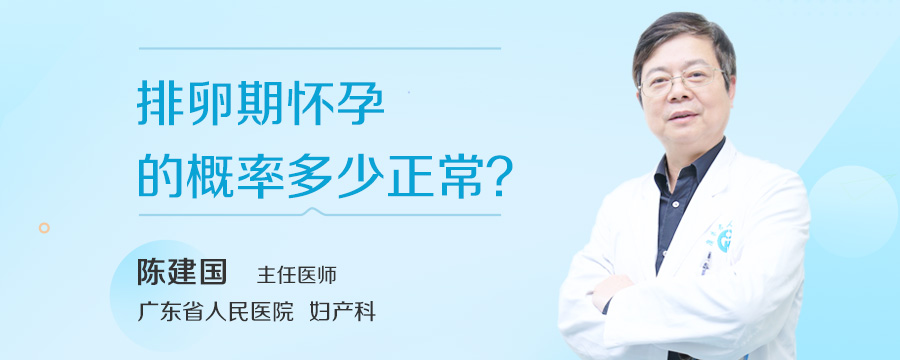 排卵期怀孕的概率多少正常