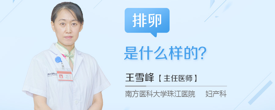 排卵是什么样的