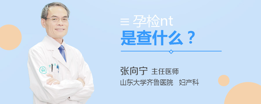 孕检nt是查什么