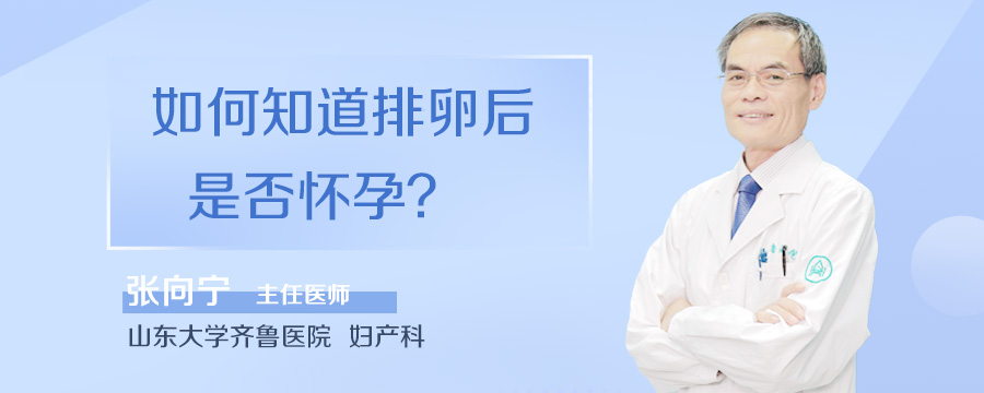 如何知道排卵后是否怀孕