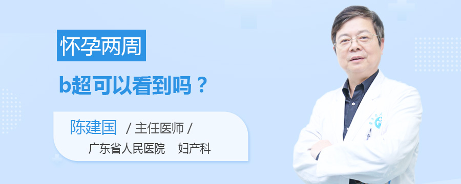 怀孕两周b超可以看到吗