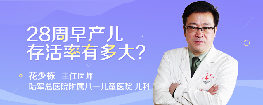 28周早产儿存活率有多大