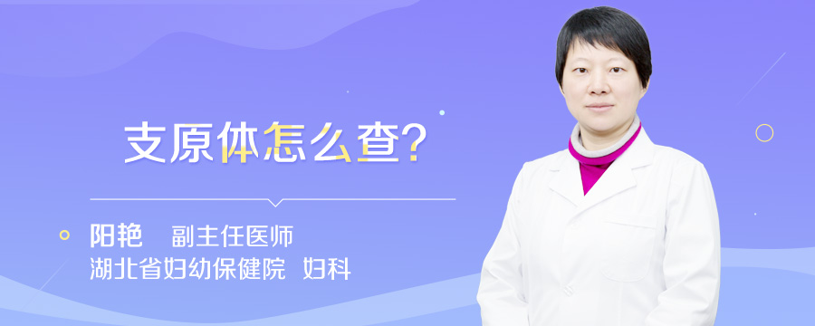 支原体怎么查