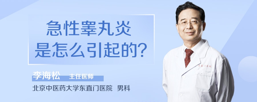 急性睾丸炎是怎么引起的