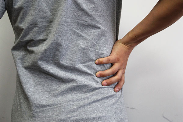 肾脏是人体最重要的器官之一，人体有许多的功能都需要通过肾脏来进行