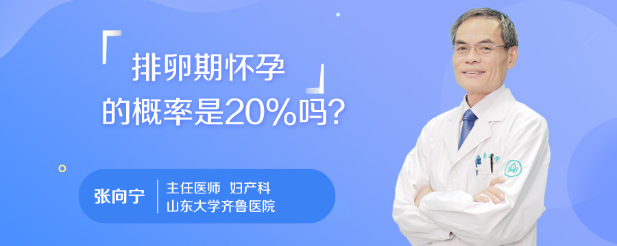 排卵期怀孕的概率是20%吗