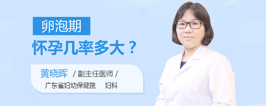 卵泡期怀孕几率多大