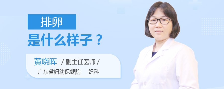 排卵是什么样子