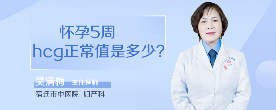 怀孕5周hcg正常值是多少_民福康