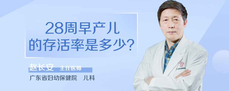 28周早产儿的存活率是多少
