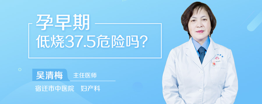 孕早期低烧37.5危险吗
