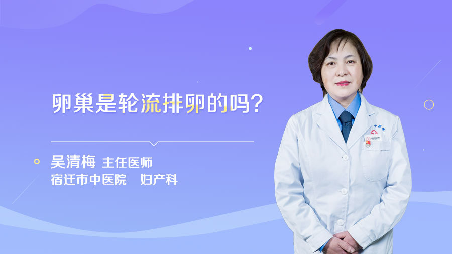 卵巢是轮流排卵的吗