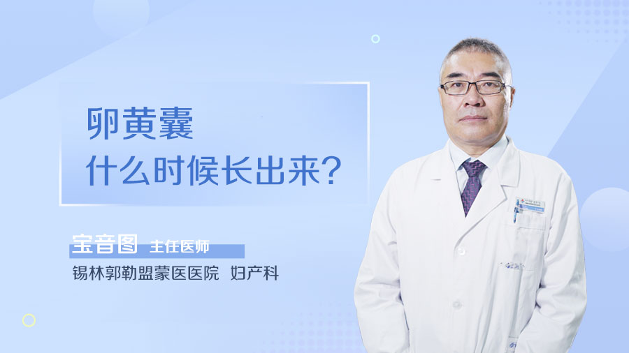 卵黄囊什么时候长出来