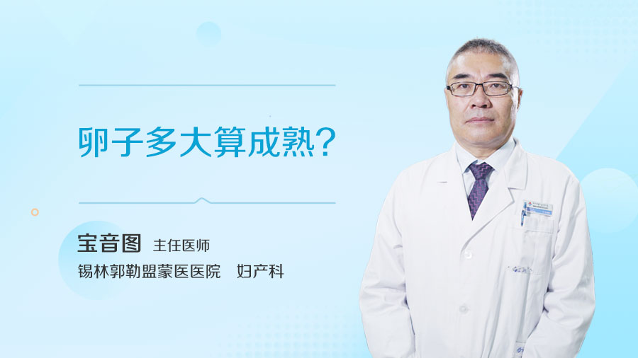 卵子多大算成熟