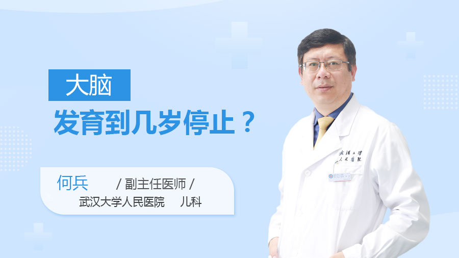 大脑发育到几岁停止