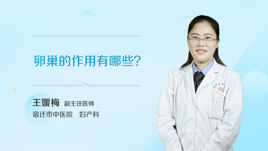 卵巢的作用有哪些